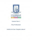 Análisis de Caso: Despido Laboral