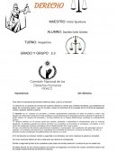 Importancia del derecho
