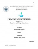 PROCESO DE ENFERMERÍA Adulto con: Deterioro de la Integridad cutánea