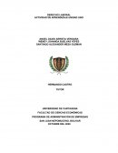 ENSAYO COCONTRATO DE TRABAJO, ACOSO LABORAL Y SALARIO