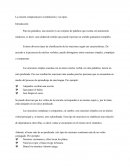 La oración compuesta por coordinación y sus tipos