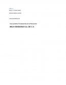 CASO MILK JUEGOS GERENCIALES