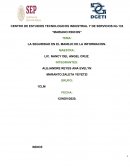 LA SEGURIDAD EN EL MANEJO DE LA INFORMACION
