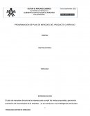 PROGRAMACION DE PLAN DE MERCDEO DEL PRODUCTO O SERVICIO