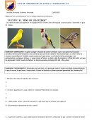 GUÍA DE APRENDIZAJE DE LENGUA Y LITERATURA, 6°A