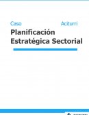 Caso Aciturri Planificación Estratégica Sectorial