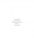 Tarea Accidente fatal en cámara