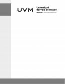 Evolución de la teoría de la organización