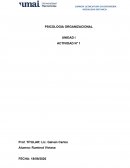 PSICOLOGIA ORGANIZACIONAL