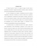 SISTEMA NACIONAL DE CONTROL