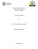 Enfermedades Reumáticas