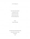 Caso la vaquita que rie