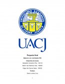 Administración del riesgo proyecto individual.