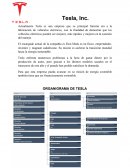 ORGANIGRAMA DE TESLA