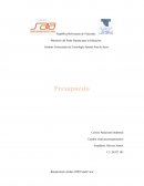 Mapa Mental. Presupuesto