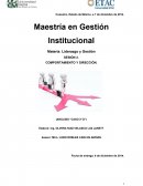 Maestría en Gestión Institucional