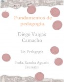 La pedagogía como disciplina