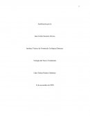 JUSTIFICACIÓN POR FE