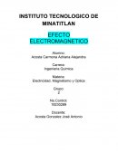 Electricidad Magnetismo y Optica