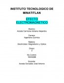 Electricidad Magnetismo y Optica