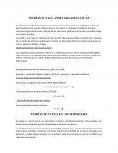TEORÍAS DE FALLA POR CARGAS ESTÁTICAS