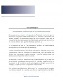 Funcionamiento cerebral a partir de un enfoque reduccionista