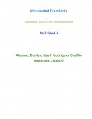 Tipos de sociedades mercantiles: Características, elementos y procesos