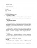 Técnicas de estudio. Mapas Mentales