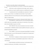 Trabajo, Gerencia de capital intelectual