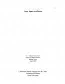 Teoría de sistemas: rappi