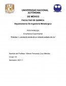 Práctica 1. Lixiviación ácida de un mineral oxidado de Cu