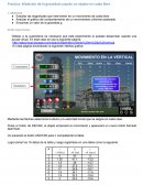 Practica: Medición de la gravedad usando un objeto en caída libre