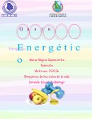 Gasto Energetico