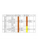 MATRIZ DE RIESGOS INSTITUCIONALES