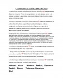 CUESTIONARIO INDÍGENAS EN MÉXICO