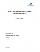 TECNICATURA UNIVERSITARIA EN GRANJA Y PRODUCCIÓN AVICOLA