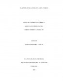 Elasticidad de la demanda y del ingreso