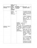 Actividades Inteligencias. Tipos de inteligencia más bajos
