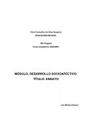 Ensayo sobre la educación emocional de 0-3 años