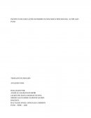 Monografía sobre el analisis FODA