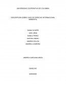 DESCRIPCION SOBRE CASO DE DERECHO INTERNACIONAL AMBIENTAL