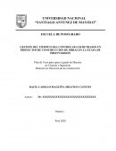 GESTION DEL TIEMPO PARA CONTROLAR LOS RETRASOS EN PROYECTOS DE CONSTRUCCION DE OBRAS EN LA ETAPA DE PREINVERSION