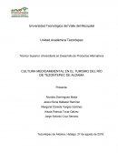 CULTURA MEDIOAMBIENTAL EN EL TURISMO DEL RÍO DE TEZONTEPEC DE ALDAMA