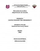 Mercadotecnia analítica (Segmentación de mercado)