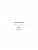 La prevención en Psicopatología