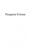 DESARROLLO ORGANIZACIONAL PESQUERA FRIOSUR