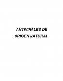 Antivirales De Origen Natural