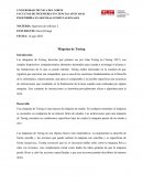 Ensayo Maquina de Turing