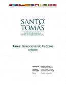 Factores críticos control de gestión