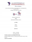 INFOGRAFIA MARCO LOGICO